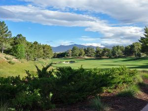 Shadow Creek 1st Bush